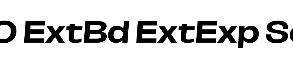 FSP DEMO ExtBd ExtExp SeObli Italic