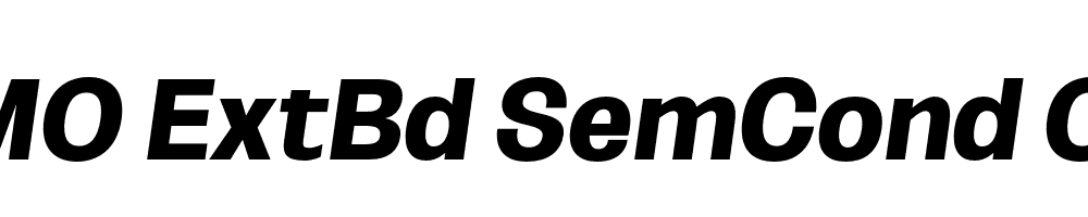 FSP DEMO ExtBd SemCond Obli Italic