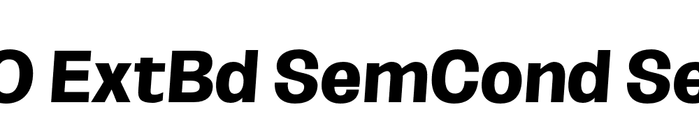 FSP DEMO ExtBd SemCond SeObli Italic