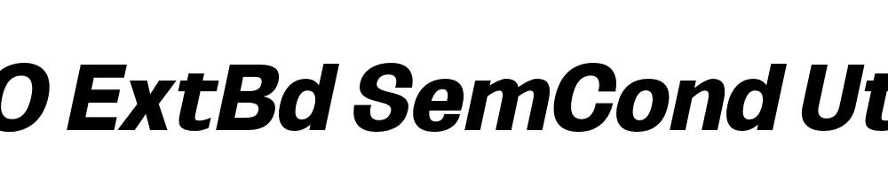 FSP DEMO ExtBd SemCond UtObli Italic