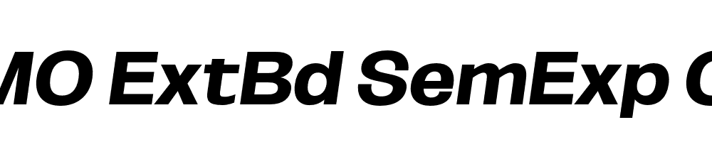 FSP DEMO ExtBd SemExp Obli Italic