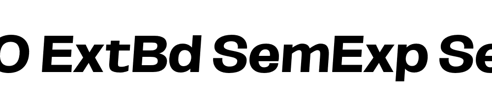 FSP DEMO ExtBd SemExp SeObli Italic