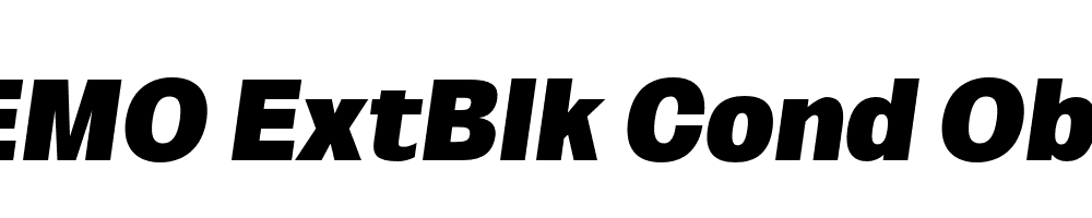 FSP DEMO ExtBlk Cond Obli Italic