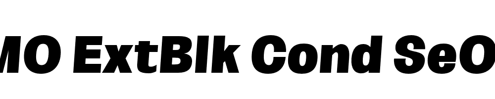 FSP DEMO ExtBlk Cond SeObli Italic