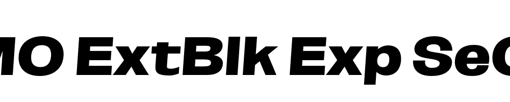 FSP DEMO ExtBlk Exp SeObli Italic