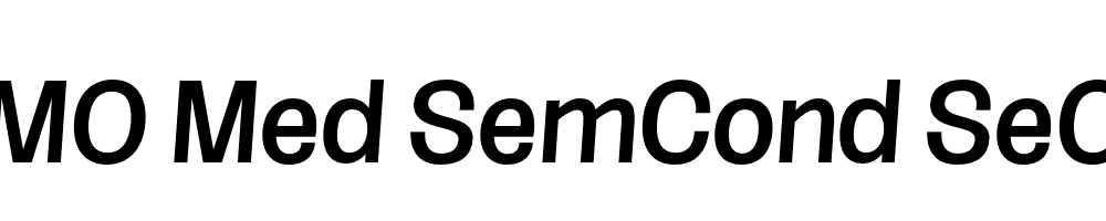 FSP DEMO Med SemCond SeObli Italic