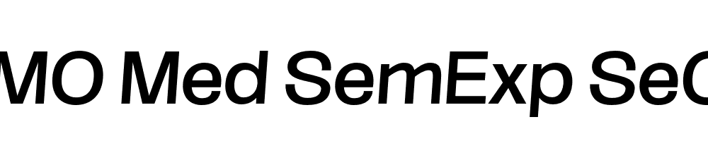 FSP DEMO Med SemExp SeObli Italic