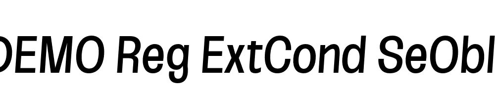 FSP DEMO Reg ExtCond SeObli Italic