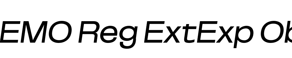 FSP DEMO Reg ExtExp Obli Italic