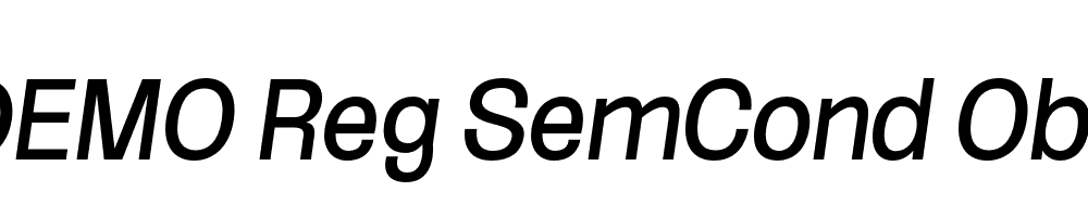 FSP DEMO Reg SemCond Obli Italic