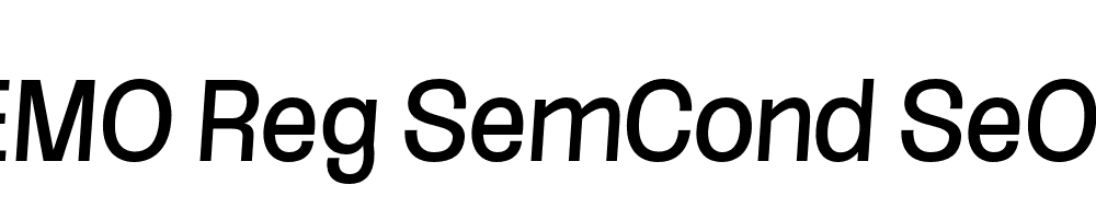 FSP DEMO Reg SemCond SeObli Italic