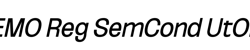 FSP DEMO Reg SemCond UtObli Italic