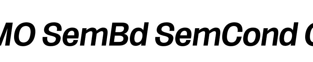 FSP DEMO SemBd SemCond Obli Italic