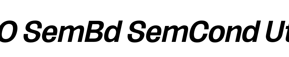 FSP DEMO SemBd SemCond UtObli Italic