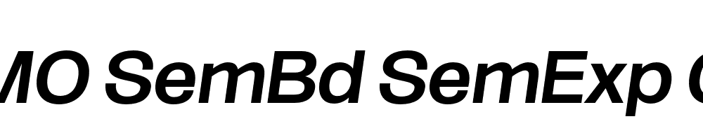 FSP DEMO SemBd SemExp Obli Italic