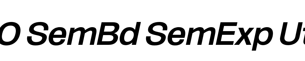 FSP DEMO SemBd SemExp UtObli Italic