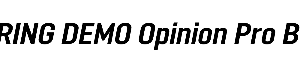  DEMO Opinion Pro Bold Italic