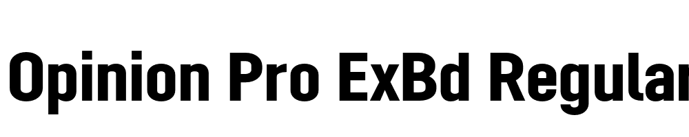 Opinion Pro ExBd Regular