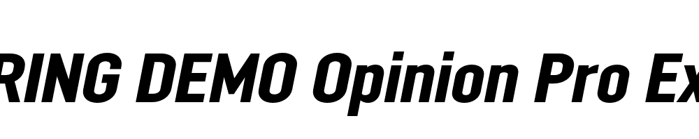  DEMO Opinion Pro ExBd Italic