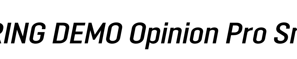  DEMO Opinion Pro SmBd Italic