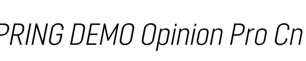  DEMO Opinion Pro Cn Lt Italic