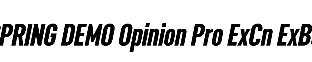  DEMO Opinion Pro ExCn ExBd Italic