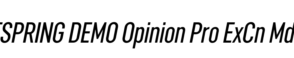  DEMO Opinion Pro ExCn Md Italic