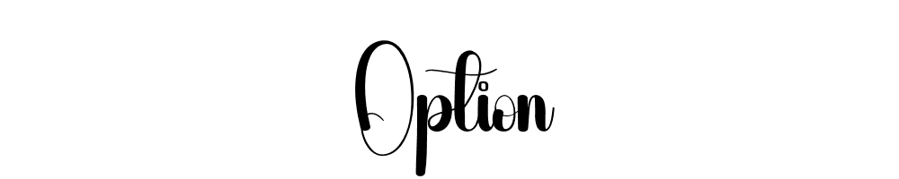 Option