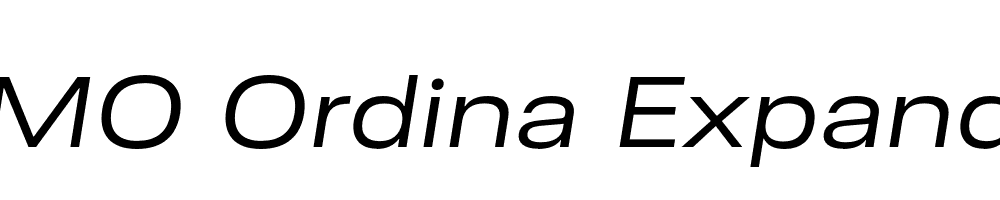 FSP DEMO Ordina Expanded Italic