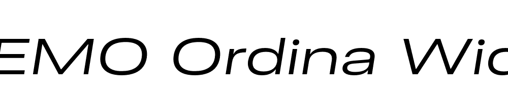 FSP DEMO Ordina Wide Italic