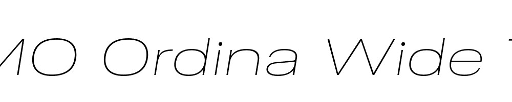 FSP DEMO Ordina Wide Thin Italic