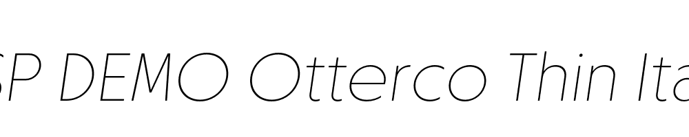 FSP DEMO Otterco Thin Italic