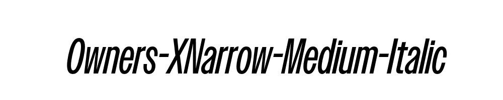 Owners-XNarrow-Medium-Italic