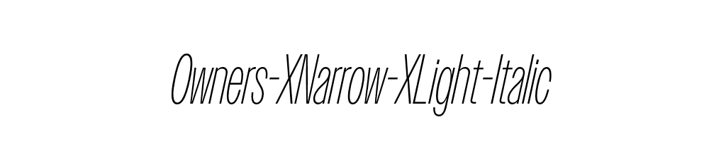 Owners-XNarrow-XLight-Italic