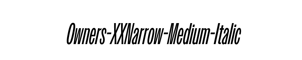 Owners-XXNarrow-Medium-Italic