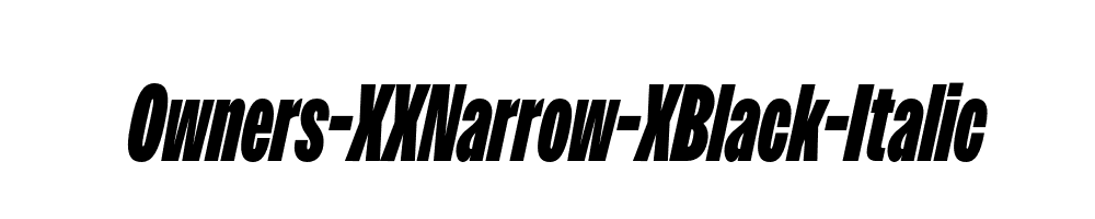 Owners-XXNarrow-XBlack-Italic