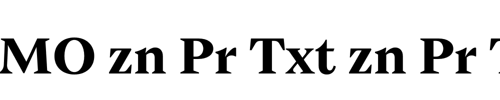 FSP DEMO zn Pr Txt zn Pr Txt Bold