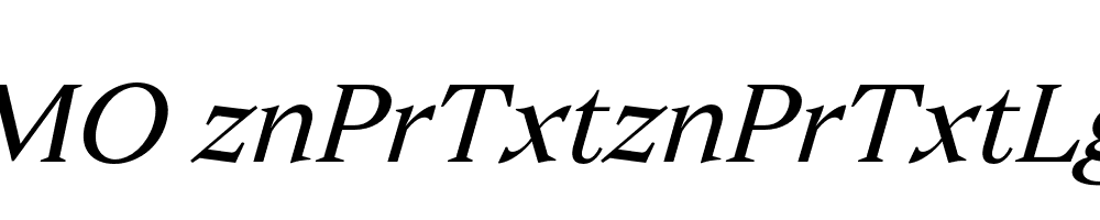 FSP DEMO znPrTxtznPrTxtLght Italic