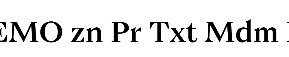 FSP DEMO zn Pr Txt Mdm Regular