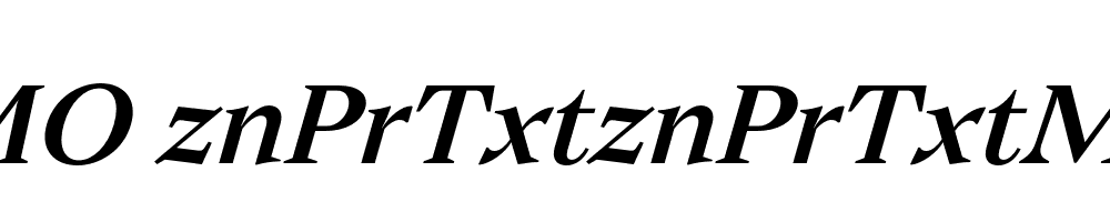 FSP DEMO znPrTxtznPrTxtMdm Italic