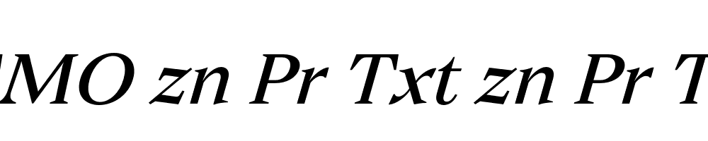 FSP DEMO zn Pr Txt zn Pr Txt Italic