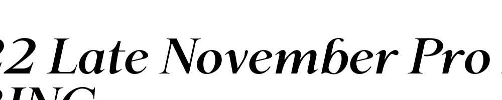  DEMO P22 Late November Pro Bold Italic