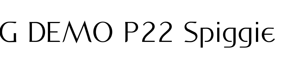  DEMO P22 Spiggie Pro Regular