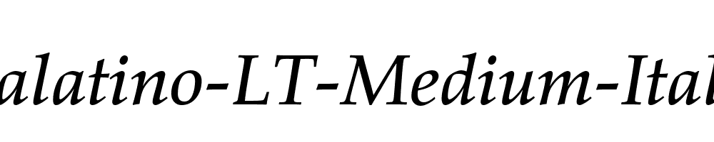 Palatino-LT-Medium-Italic