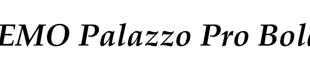 FSP DEMO Palazzo Pro Bold Italic