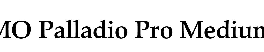 FSP DEMO Palladio Pro Medium Regular