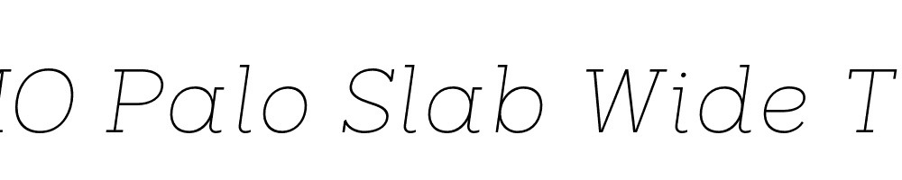 FSP DEMO Palo Slab Wide Thin Italic