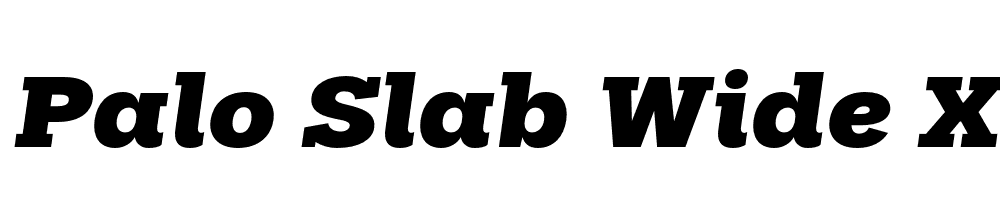 FSP DEMO Palo Slab Wide Xbold Italic