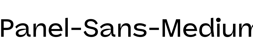 Panel-Sans-Medium