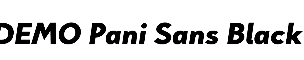 FSP DEMO Pani Sans Black Italic